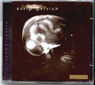 David Sylvian - Godman CD 1